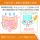 ロコ2mgの効果