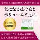 パントガールの特徴
