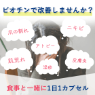 ビオチンの特徴