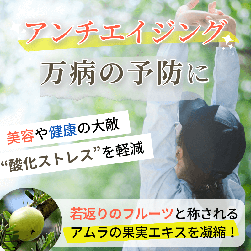 アマラキの概要