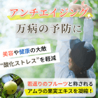 アマラキの概要