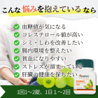 アマラキの特徴