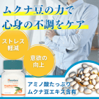 カピカチュの概要