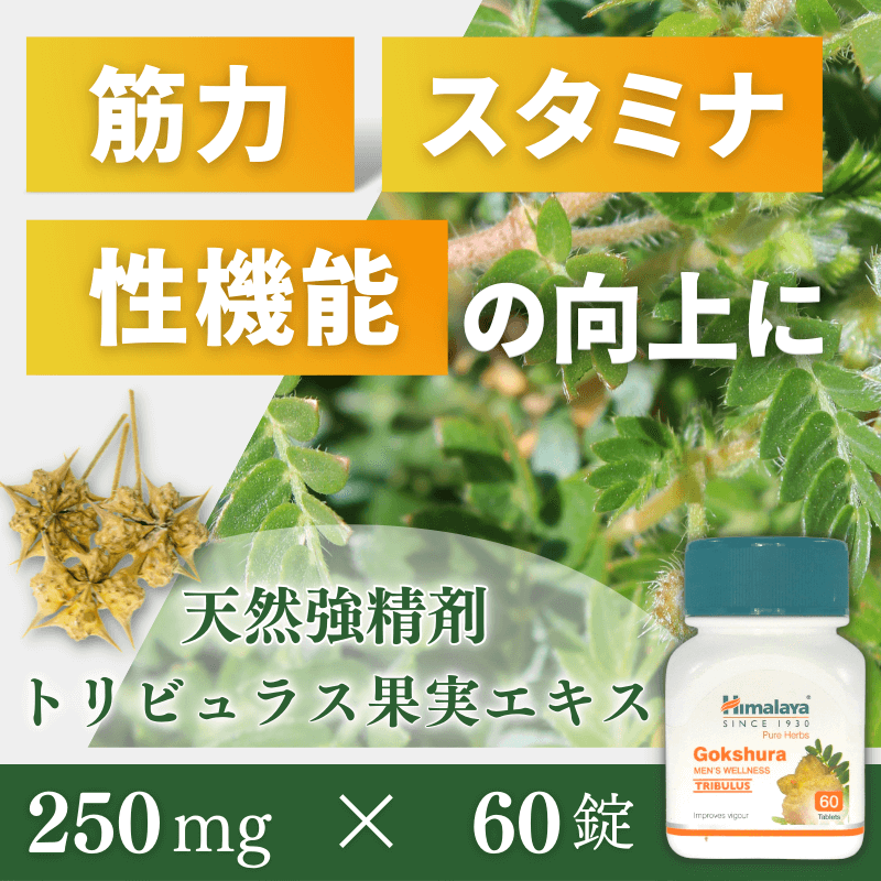 ゴクシュラの概要