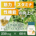 ゴクシュラの概要