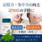 ブラフミーの概要