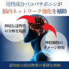 ブラフミーの効果
