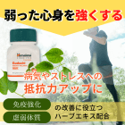 グドゥチの概要