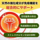 グドゥチの効果