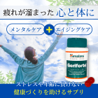 ジェリフォルテの概要