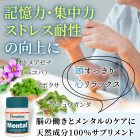 メンタットの概要