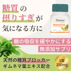 メシャシュリンギの概要