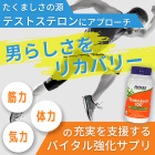テストジャックの概要