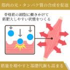 メナボル2mgの効果
