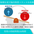 ブリリジー60mgの効果