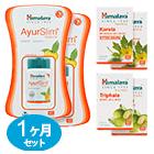 腸活 食欲OFF 痩せるサプリセット1ヶ月のセット内容