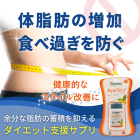 腸活 食欲OFF 痩せるサプリセット1ヶ月のアーユスリムの概要