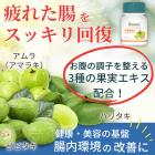 腸活 食欲OFF 痩せるサプリセット1ヶ月のトリファラの概要