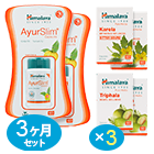 腸活 食欲OFF 痩せるサプリセット