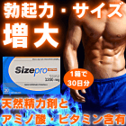 硬さ 持続力UP 勃起の薬セットのサイズプロウルトラの概要