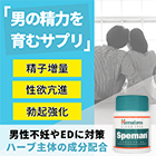 性欲 持続力UP 勃起の薬セット2ヶ月のスペマンの概要