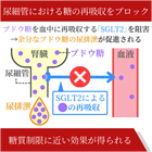 ダパリル10mgの効果