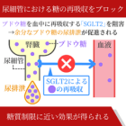 ダパリル10mg(30錠)の効果