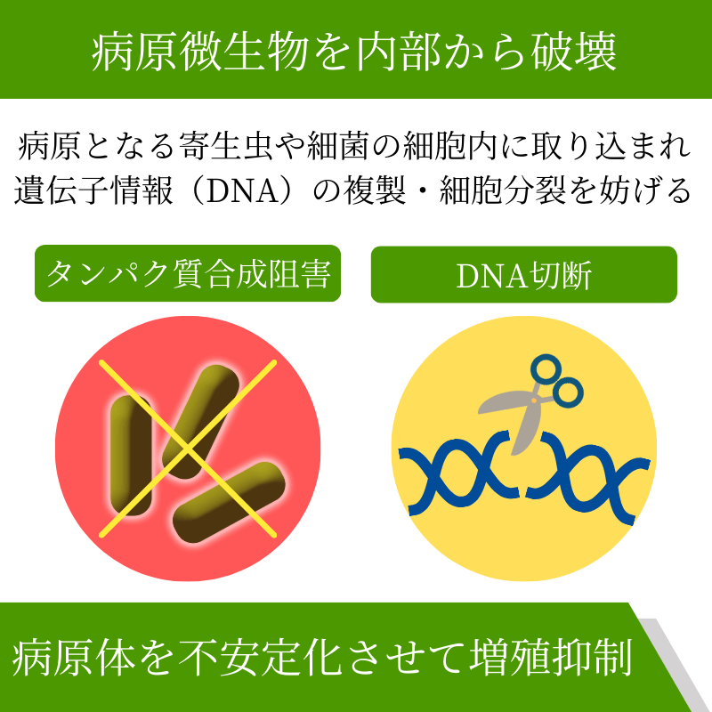 メトロジール200mg(15錠)の効果