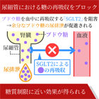 フォシーガ10mgの効果