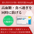 リベルサス14mgの概要
