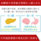 リベルサス14mgの効果