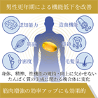 セルノスカプセルの効果