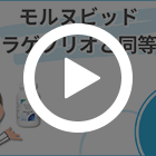 モルヌビッドの特徴動画