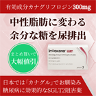 インボカナ300mgの特徴