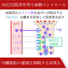 インボカナ300mgの効果