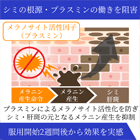 クリップの効果