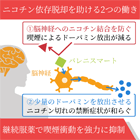 バレニスマート1mgの効果