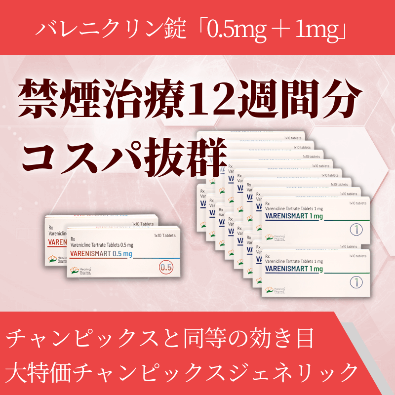 バレニスマート12週間セットの概要