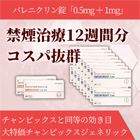 バレニスマート12週間セットの概要