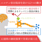 バレニスマート12週間セットの効果