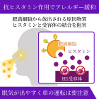 パタジン5mgの効果
