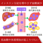 グリコメット1000mgの効果