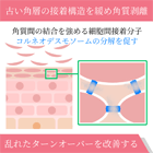 グライコクリームの効果
