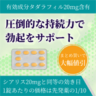 タダライズの特徴