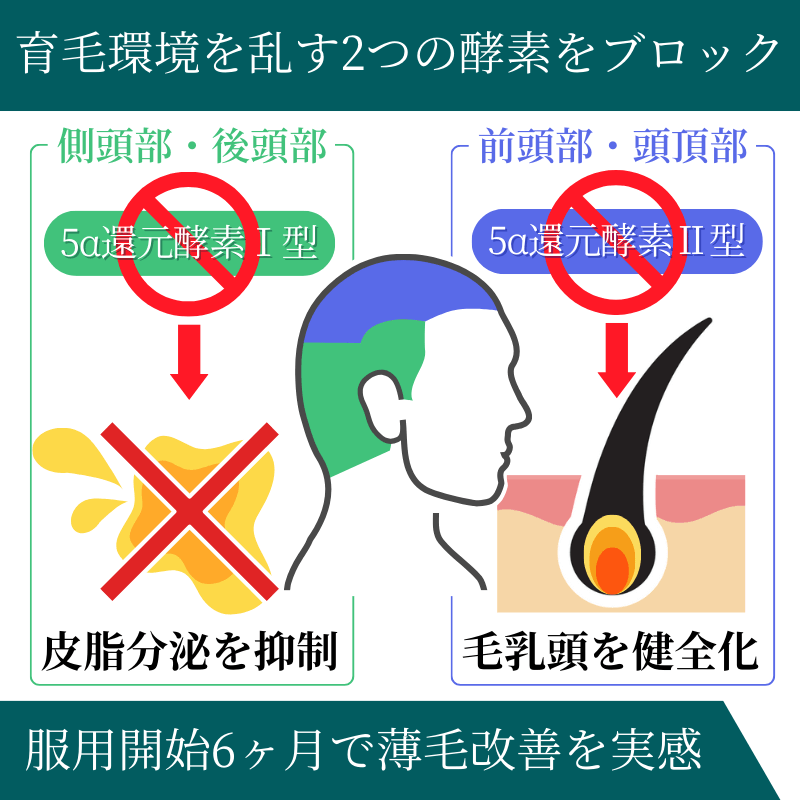 デュタライズ0.5mgの効果