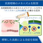 ファンゴラールクリームの効果