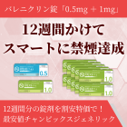 スモスト12週間セットの特徴