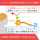 スモスト12週間セットの効果