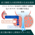 プロスケア5mgの効果
