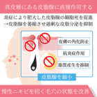 トレティヴァ20mgの効果